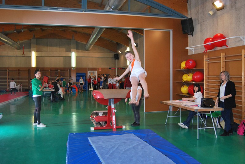 La Gimnasia Artística Masculina alza el telón
